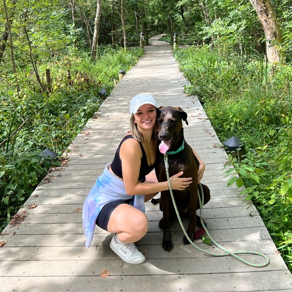 Meet your Posher, Sophia - Picture 2 of 3